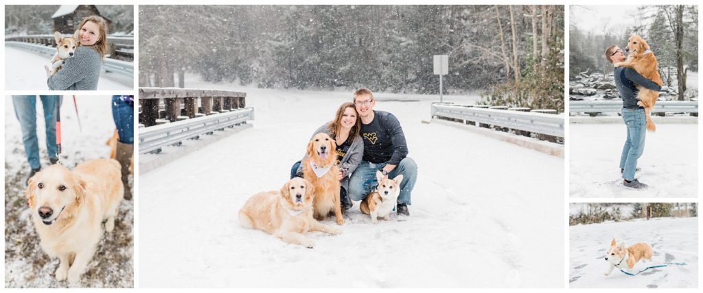 Emily and Steve's snowy engagement session at Babcock State Park, WV in January of 2020.