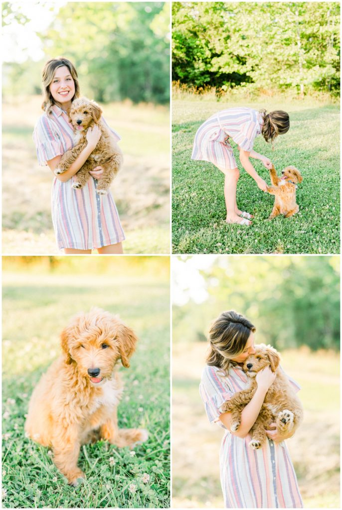 puppy goldendoodle photography session in barboursville, wv by kara blakeman photography