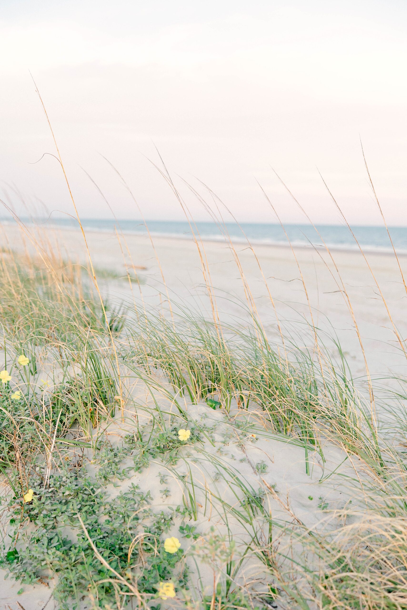 how to get dreamy cotton candy skies during your Charleston beach family photos