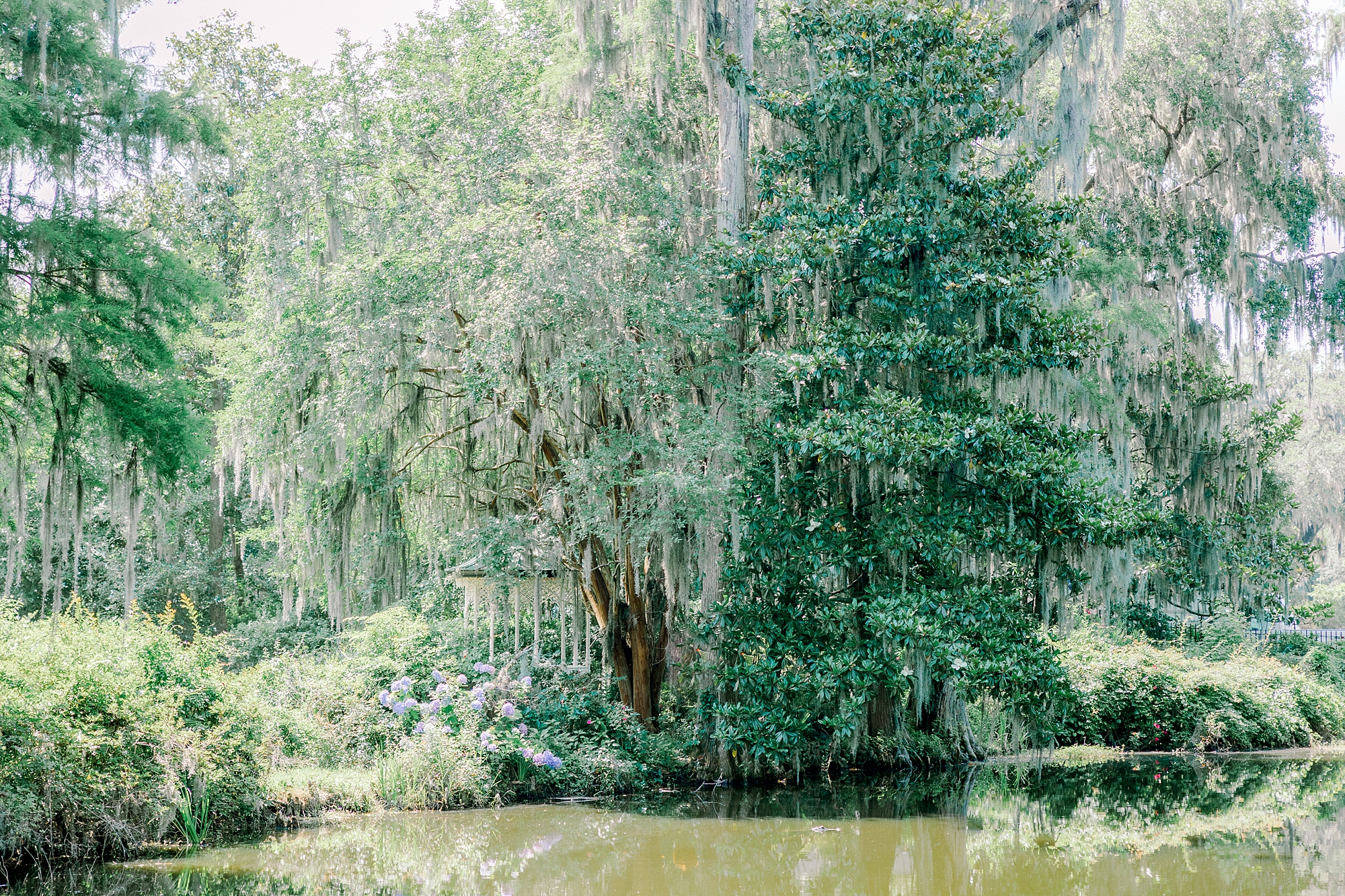 Magnolia Gardens family portraits in Charleston SC
