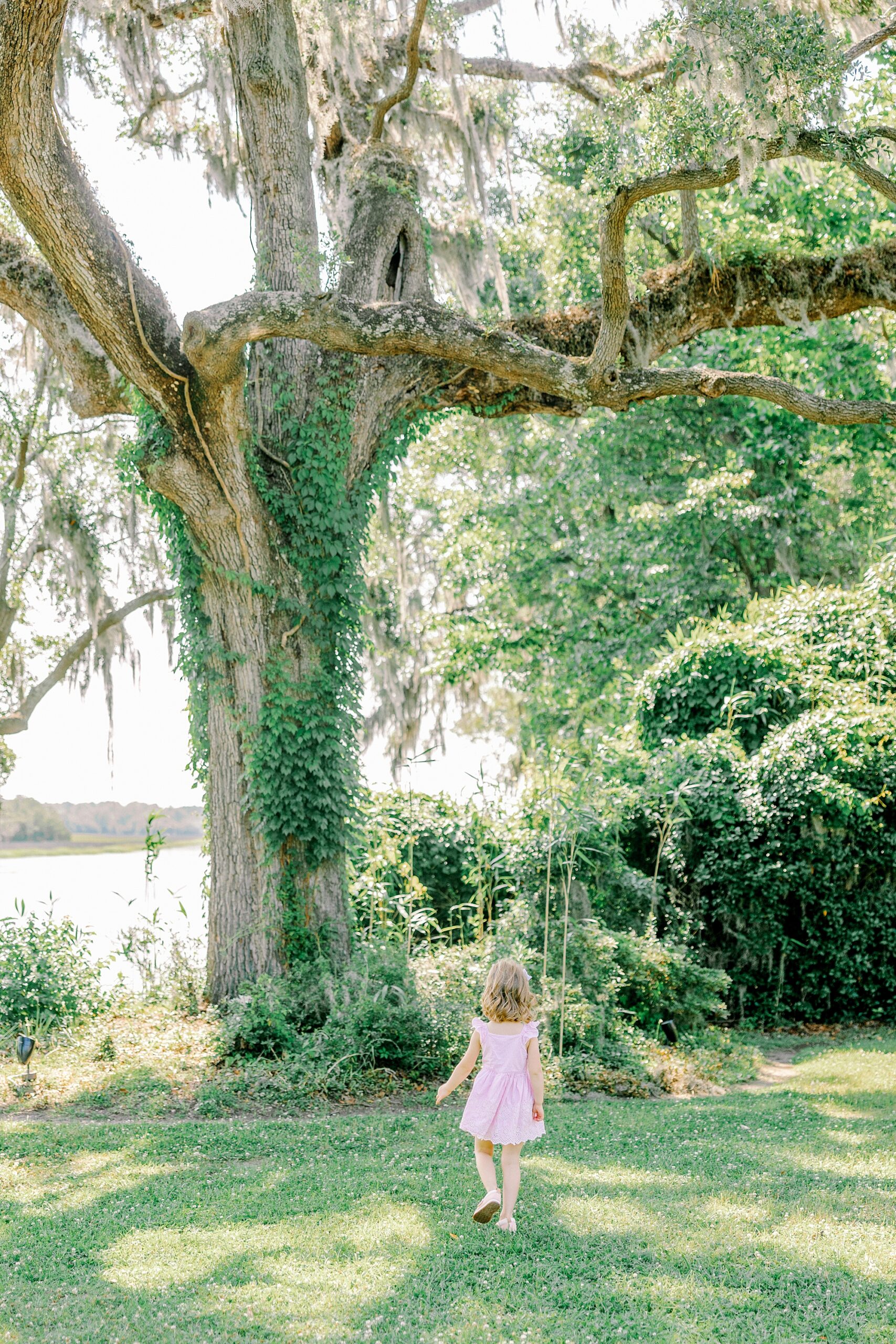 young girl in pink dress dances under tree with Spanish moss